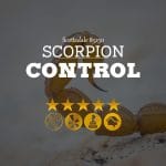 Scorpion Control in Scottsdale 85250