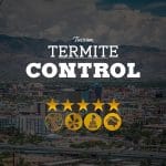 Termite Control in Tucson