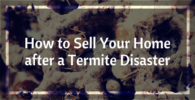 How to Sell Your Home after a Termite Disaster