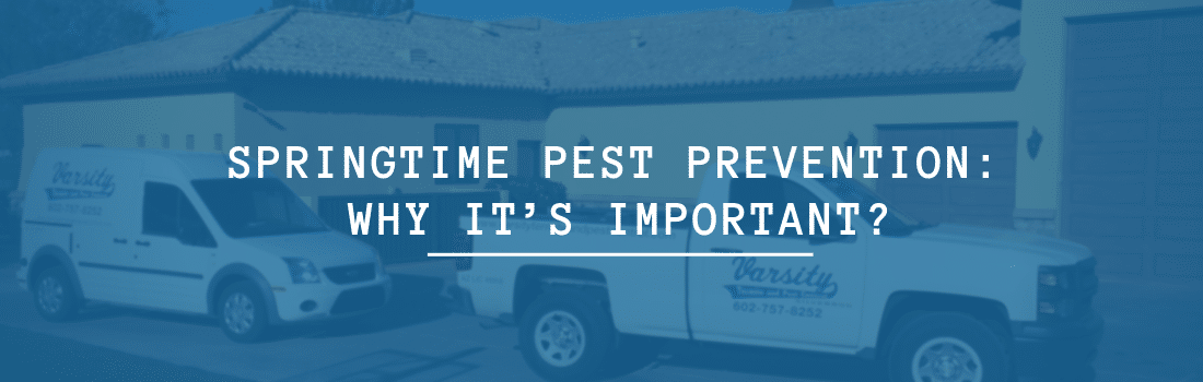Varsity Pest Control Trucks In Arizona House