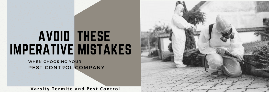 Avoid These Imperative Mistakes When Choosing Your Pest Control Company