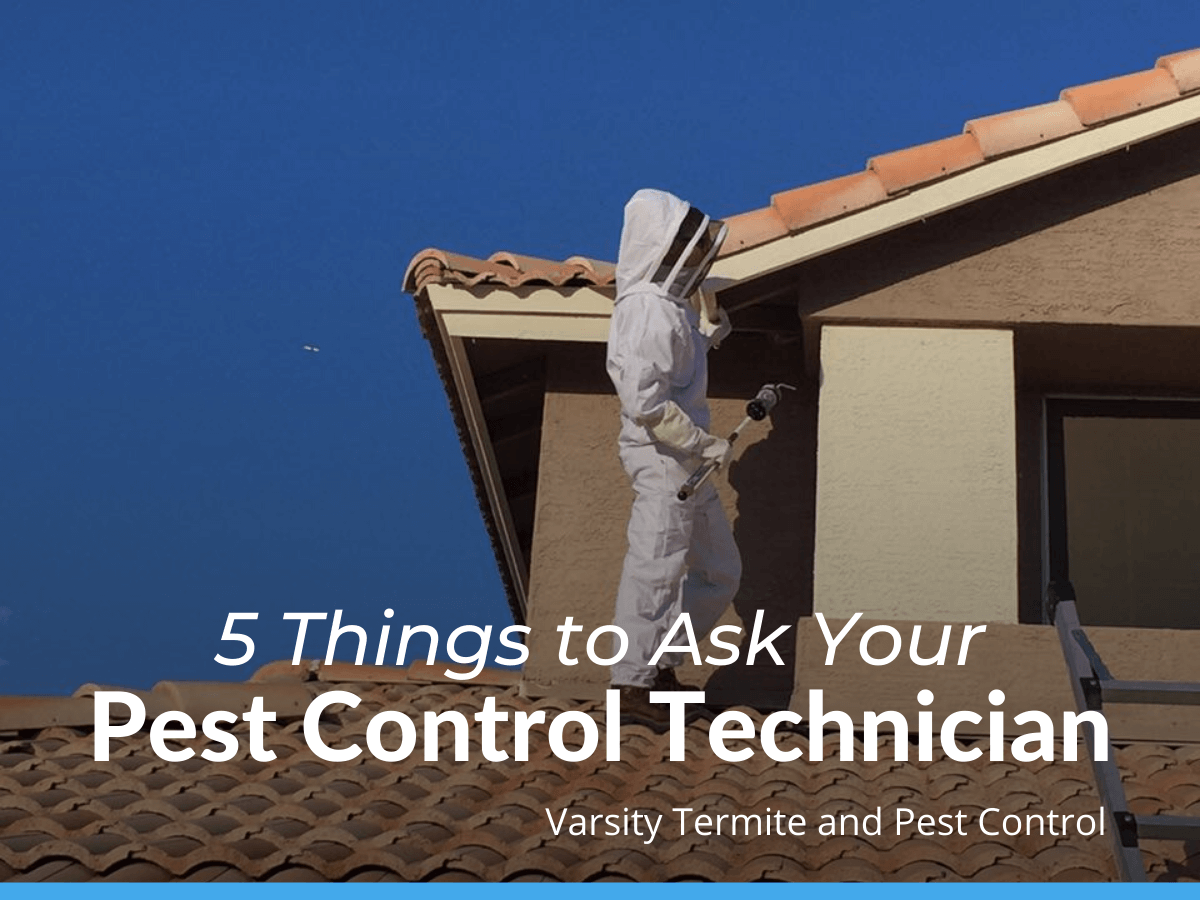 5 Things to Ask Your Pest Control Technician