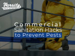 Commercial Sanitation Hacks to Prevent Pests