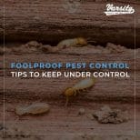 Foolproof Pest Control Tips to Keep Under Control
