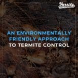 An Environmentally Friendly Approach To Termite Control