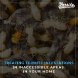 Treating Termite Infestations in Inaccessible Areas in Your Home