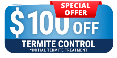 Special Offer 100 Dollars Off Termite Control