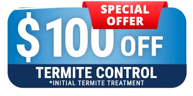 Special Offer 100 Dollars Off Termite Control