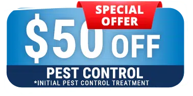 Special Offer 50 Dollars Off Pest Control
