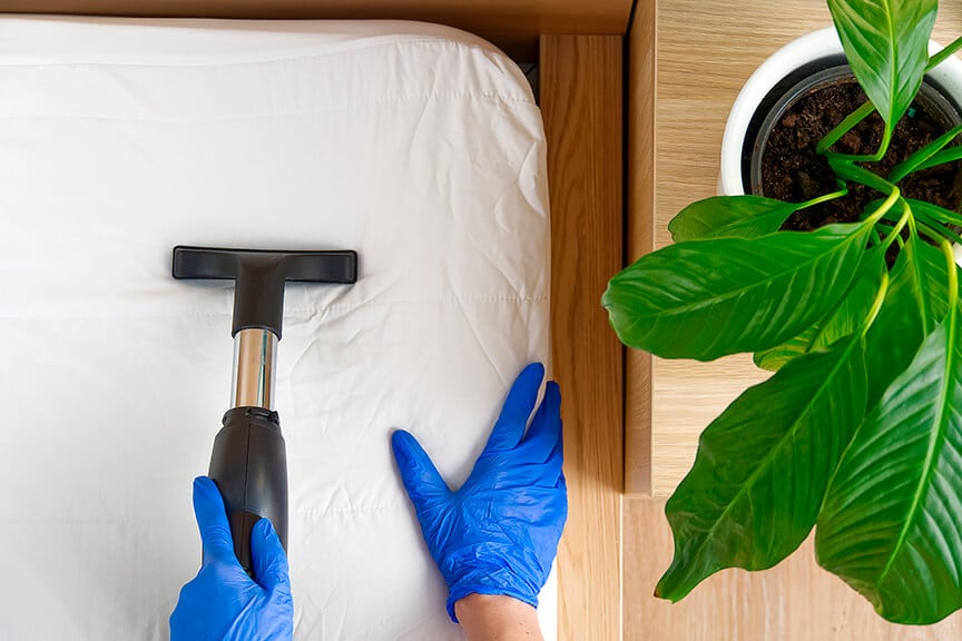 Paradise Valley's Top Pest Control Company for Bed Bug Treatment