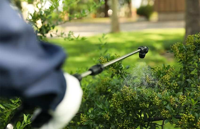 Pest control Treatment For Backyards And Outdoor Areas In Glendale