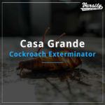 Casa Grande Cockroach Exterminator
