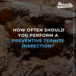 How Often Should You Perform a Preventive Termite Inspection