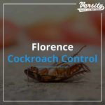 Florence Cockroach Control featured image