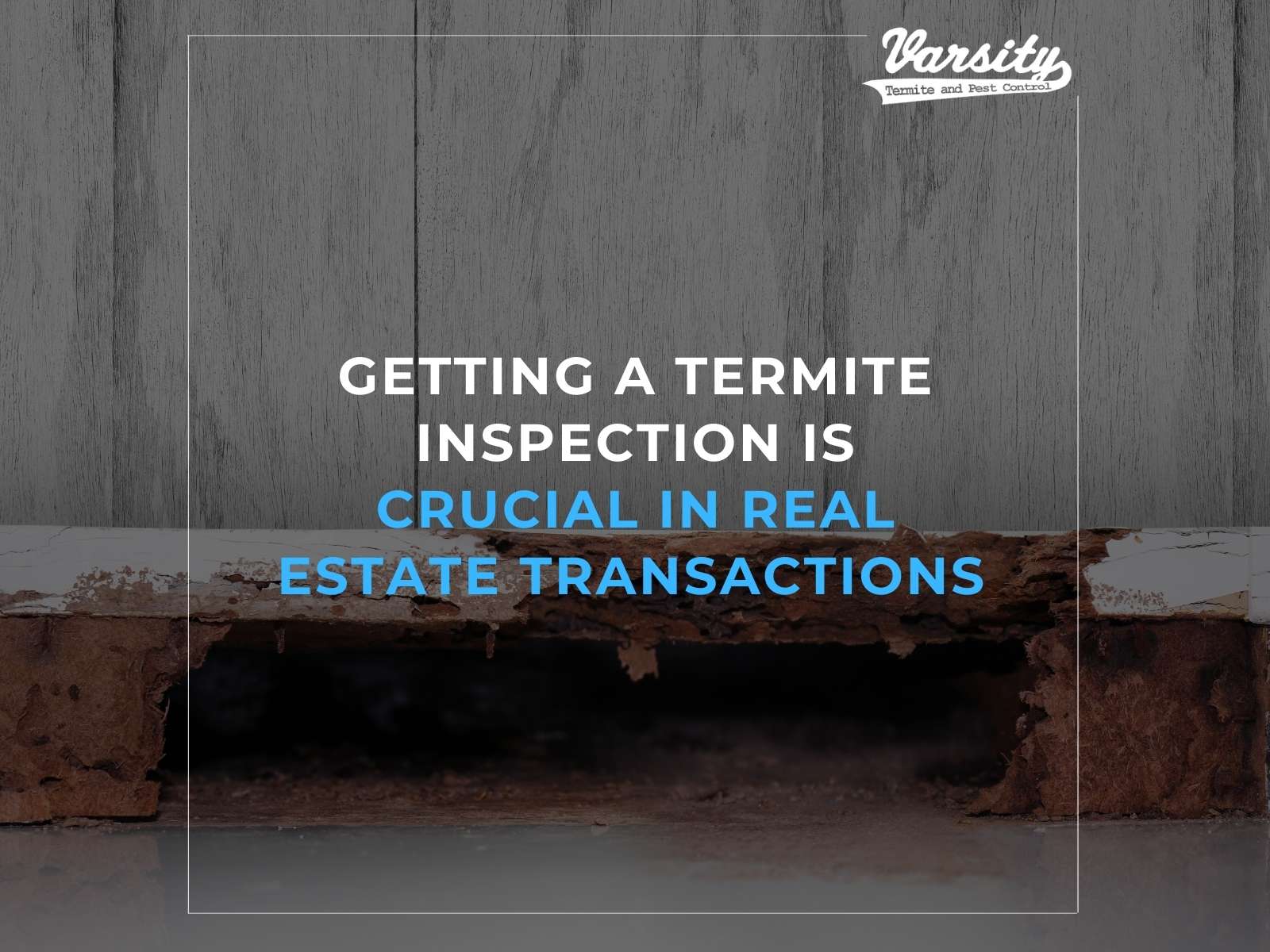 Getting a Termite Inspection Is Crucial In Real Estate Transactions