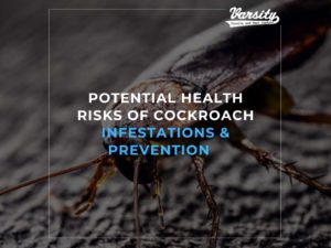 Potential Health Risks Of Cockroach Infestations & Prevention