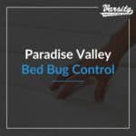 Paradise Valley Bed bug Control featured image