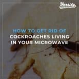 How To Get Rid Of Cockroaches Living In Your Microwave