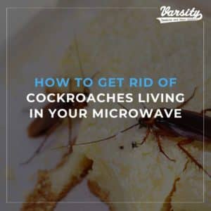 How To Get Rid Of Cockroaches Living In Your Microwave