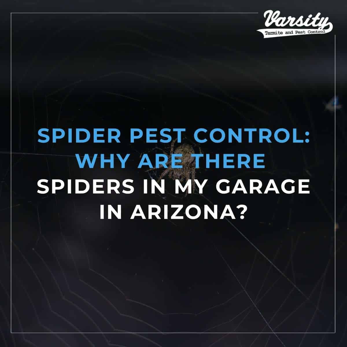 Spiders Pest Control: Why Are There Spiders In My Garage In Arizona?