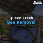 Queen Creek Bee Removal By Varsity Termite And Pest Control