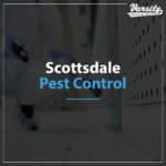 Scottsdale Pest Control At Varsity Termite And Pest Control Co.