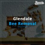 Glendale Bee Removal At https://varsitytermiteandpestcontrol.com/