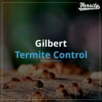 Gilbert Termite Control At https://varsitytermiteandpestcontrol.com/