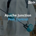 Effective Pest Control Services in Apache Junction https://varsitytermiteandpestcontrol.com/