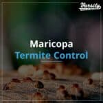 Maricopa Termite Control https://varsitytermiteandpestcontrol.com/
