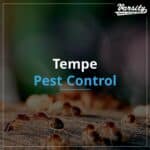 Tempe Pest Control At https://varsitytermiteandpestcontrol.com/
