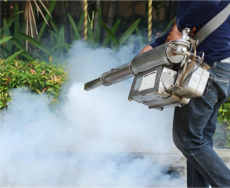 Mosquito control eradicator treating plants in a frontyard