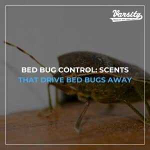 Bed Bug Control: Scents That Drive Bed Bugs Away